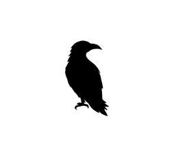 Raven silhouette isolated vector