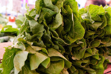 sale of delicious green lettuce at the market