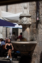 Fountain lion heads. Dubrovnik. Croatia