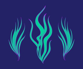 Underwater aquatic bright seaweed plants set. Cartoon seaware vector illustration, sea alga collection, isolated on blue background