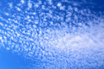 Fototapeta na wymiar Beautiful white cirrus clouds. Close-up. Background. Landscape.