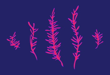 Underwater red seaweed plants set. Cartoon seaware vector illustration, sea alga collection, isolated on blue background