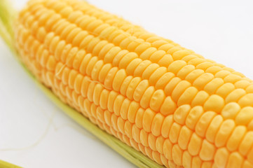 Sweet ripe Corn on a white isolated background
