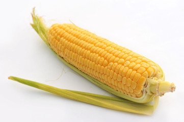 Sweet ripe Corn on a white isolated background