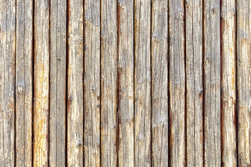 Background of old wood trunks of trees