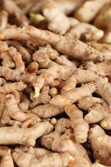 Fresh turmeric root is herb for health