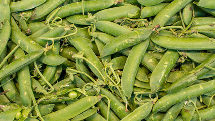 Healthy organic green beans