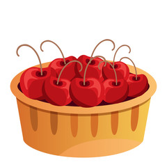 Basket of cherries on a white background