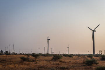 Windmills heading in one direction in the morning