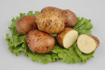 Lots of raw potatoes on oak lettuce on gray isolated background