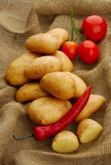 Lots of raw potatoes on sackcloth with tomatoes and pepper on gray isolated background