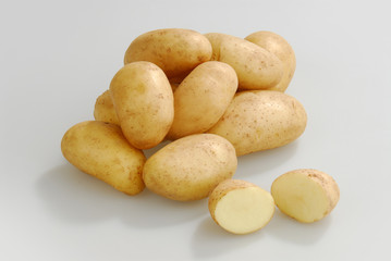 A lot of raw potatoes on a gray isolated background