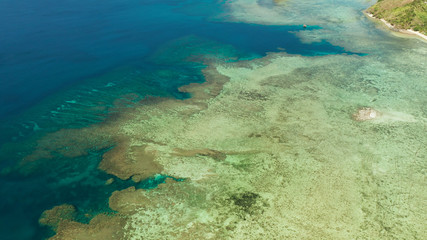 Fototapeta premium Aerial view lagoon with coral reef, atoll and turquoise water. Busuanga, Palawan, Philippines. Seascape island and clear blue water tropical landscape
