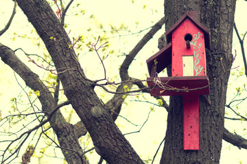 Red birdhouse from a tree, house for birds red