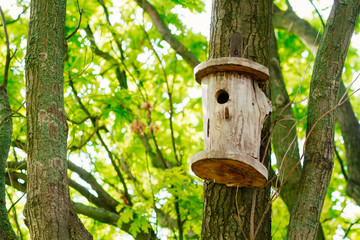 tree house for birds on the tree, birdhouse from the tree for wintering birds