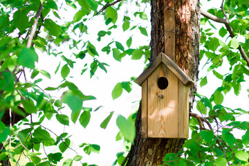 tree house for birds on the tree, birdhouse from the tree for wintering birds