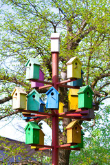colorful birdhouses. many bright nesting boxes in the park. wooden bird houses