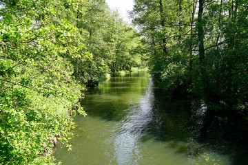 Fototapeta na wymiar Sonnige Flusslandschaft im Spreewald 