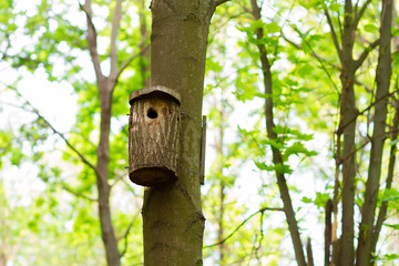 tree house for birds on the tree, birdhouse from the tree for wintering birds