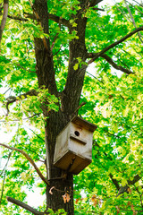 tree house for birds on the tree, birdhouse from the tree for wintering birds