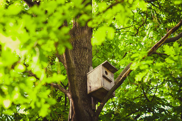 house for the birds on the tree. birdhouse wooden. house for wintering birds