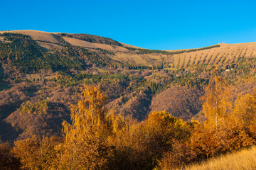 Mount Cesen in Italy