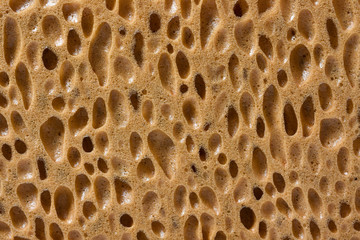 sponge  texture,abstract texture background