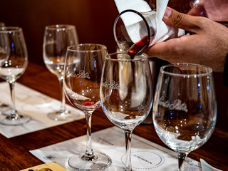 A glass of wine at Vina Santa Rita