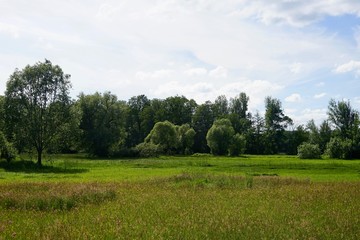 Wiese bei Lehde / Lědy im Spreewald