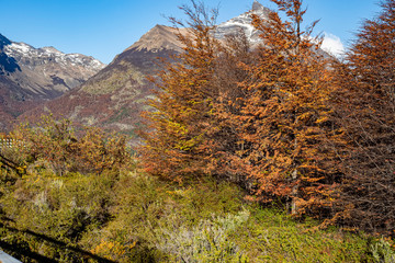 Perito Moreno Glaciar