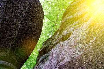 Botanical zen stone garden with water drops and rocks.