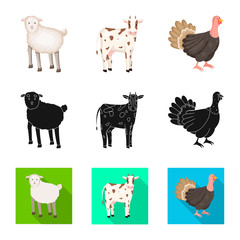Vector illustration of breeding and kitchen  sign. Collection of breeding and organic  stock symbol for web.