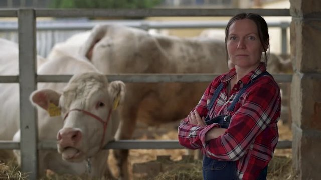 Proud successful farmer at cow dairy farm. Portrait of adult caucasian female farm worker wearing plaid shirt and jeans bib overalls next to the herd in cow shed.