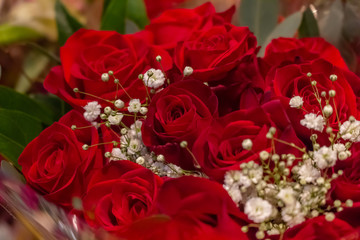 A bouquet of red roses with baby's breath garnish