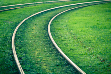 Tram rails covered with green grass