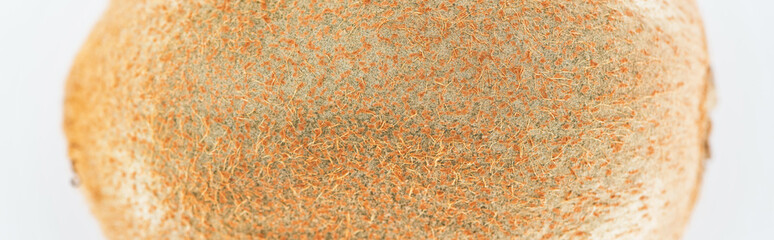 close up view of whole kiwi with textured brown peel, panoramic shot