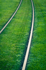 Tram rails covered with green grass