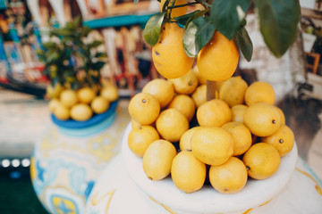 Lemon tree and lemons in a pot