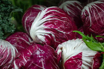 Fototapeta premium Several units of radicchio