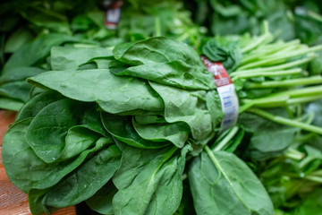 Several bunches of big leaf spinach