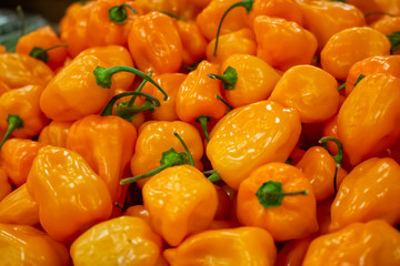 Several units of orange habanero chiles