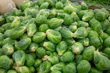 Fototapeta na wymiar Several units of brussels sprouts
