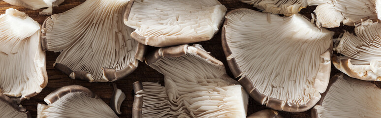 Fototapeta na wymiar close up view of textured mushrooms in pile, panoramic shot