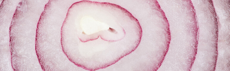 close up view of organic fresh textured onion slice, panoramic shot