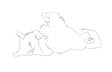 vector illustration of a cat, which lies drawing lines