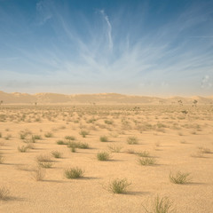 3D rendering of Desert Landscape with background sky