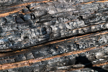 Black,charred wood surface.Natural background and texture of burnt coniferous tree