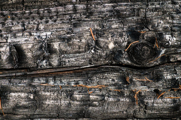 Black,charred wood surface.Natural background and texture of burnt coniferous tree