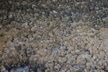 Grit-shaped cement
