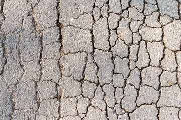 Crack of old asphalt road